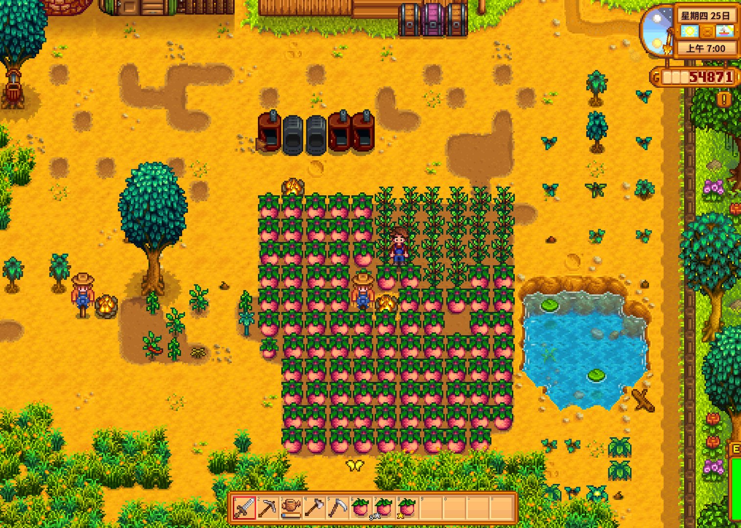 塞尔达传说：旷野之息 截图11