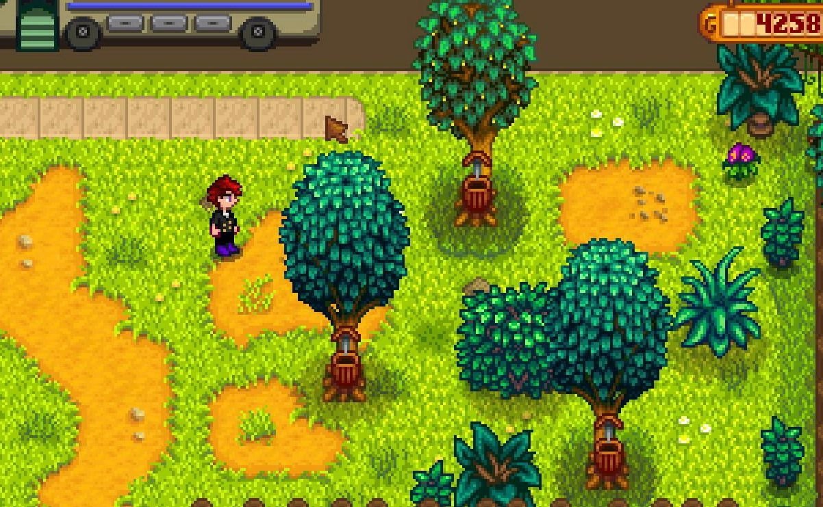 极限竞速：地平线5 截图2