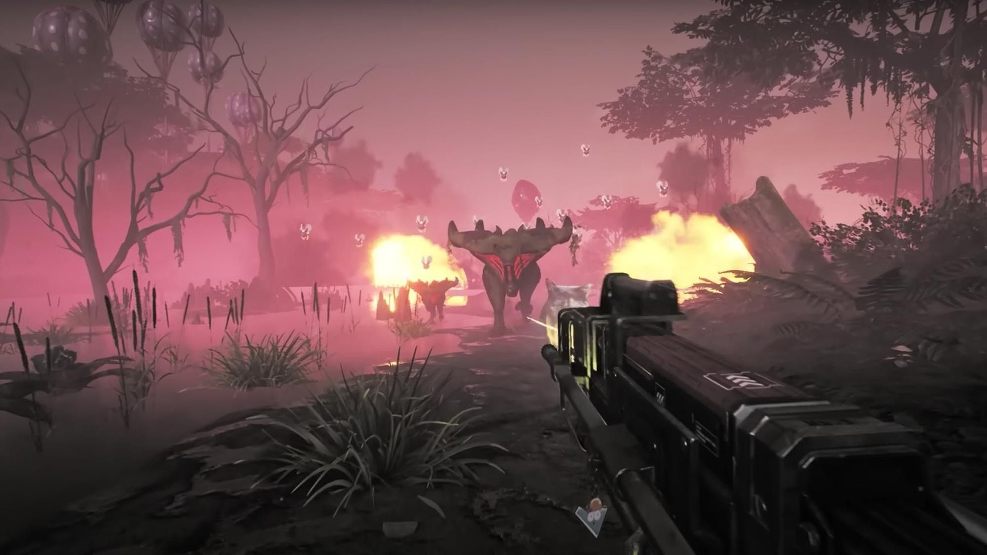 绝地求生 截图7